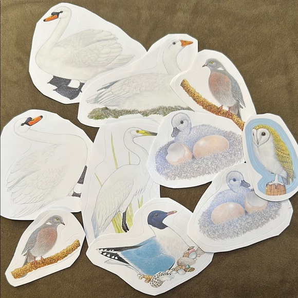 Colorful Bird Stickers Set - beautiful variety, multicolor - Picture 4 of 8
